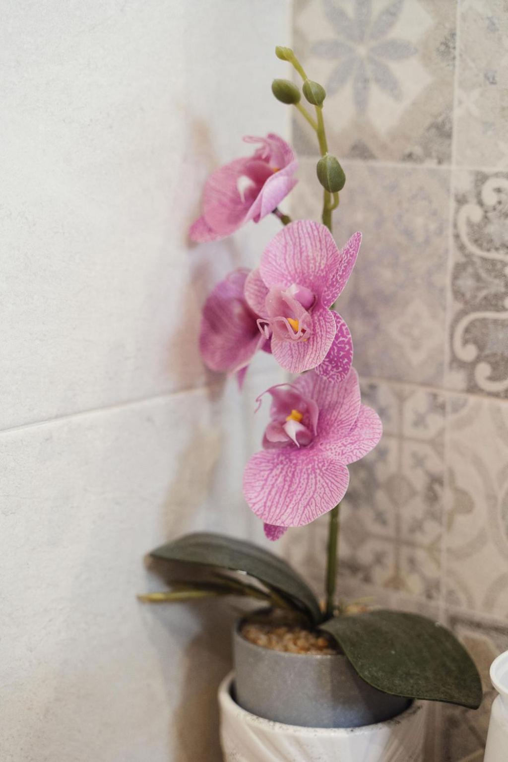 Casa Gisa Apartment Olbia